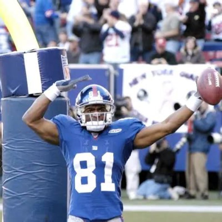 Amani Toomer Net Worth | Celebrity Net Worth
