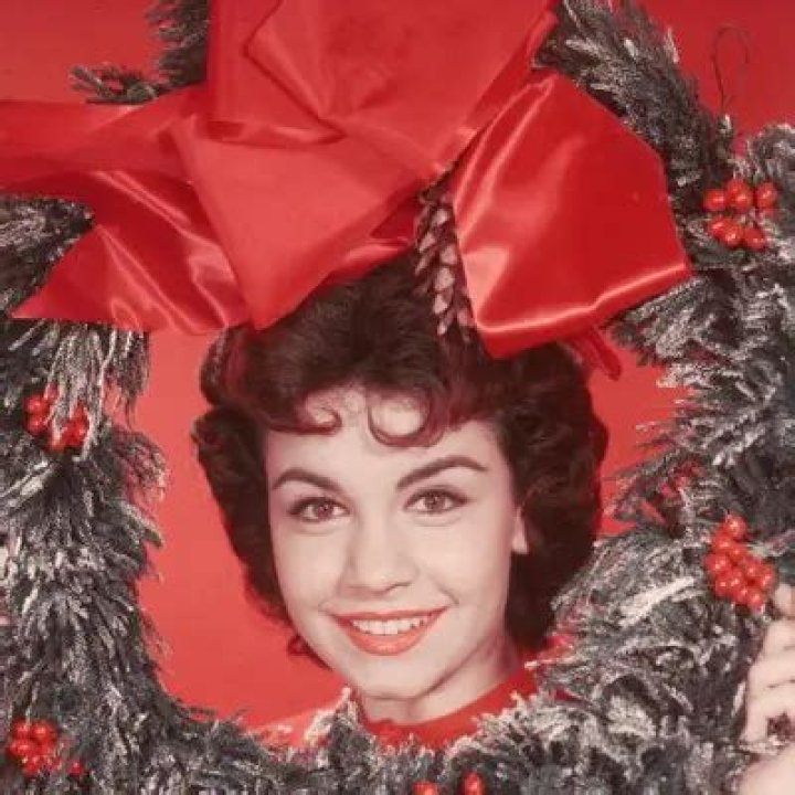 Annette Funicello Net Worth | Celebrity Net Worth