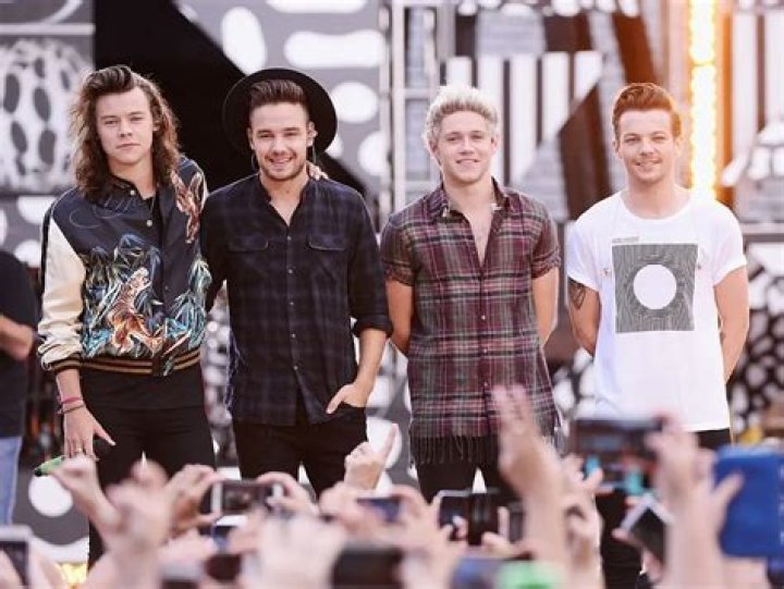 British Tax Documents Reveal One Direction's Annual Earnings... And It's Kind Of Disgusting.