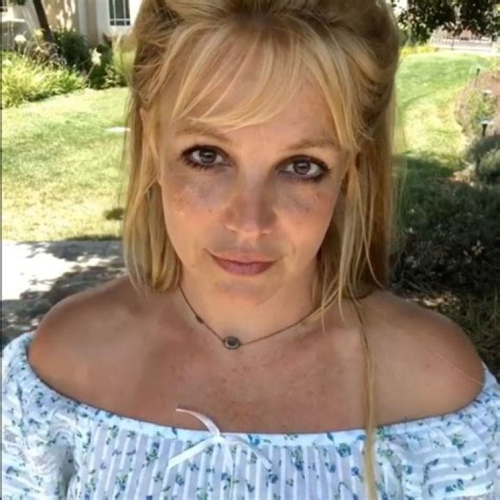 Court Documents Show Britney Spears Made $16 Million In 2016 And SPENT $11 Million On Random Stuff
