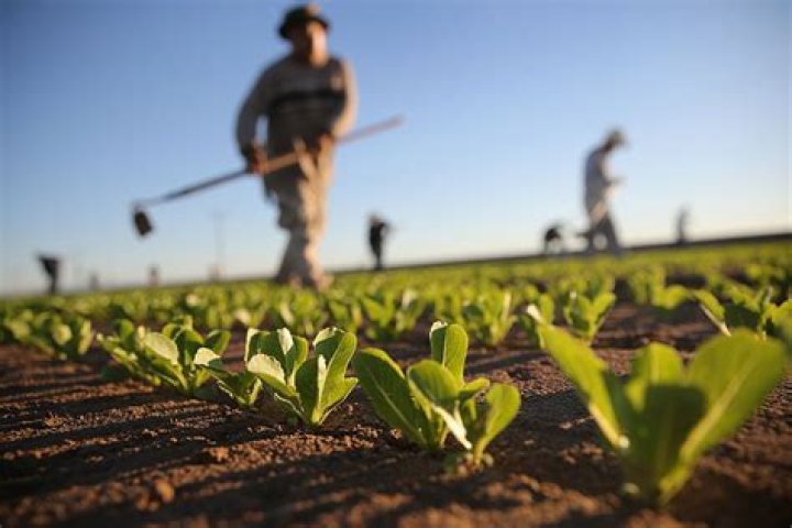 Former Financiers Turn To Farmland Investment And Manage $575 Million