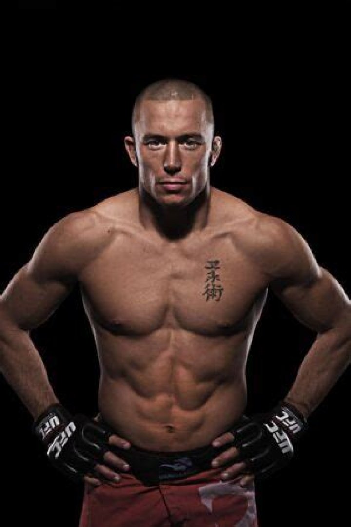 Georges St Pierre Net Worth
