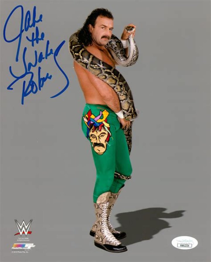 Jake Roberts Net Worth | Celebrity Net Worth