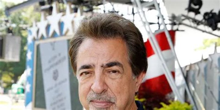 Joe Mantegna Net Worth | Celebrity Net Worth