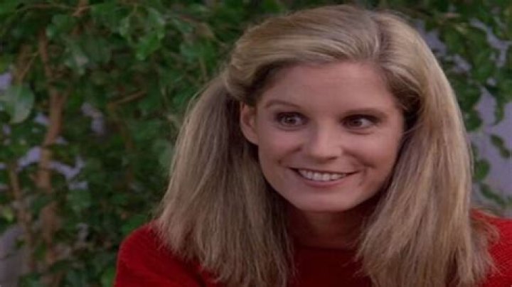 P. J. Soles Net Worth