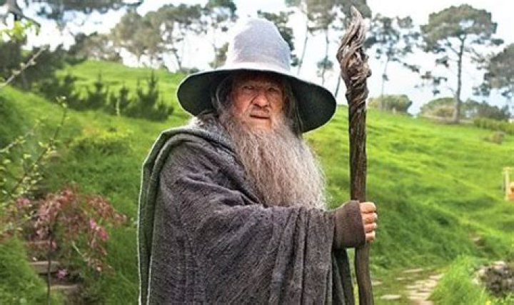 Sir Ian McKellen Once Turned Down $1.5 Million Offer To Officiate Billionaire's Wedding As Gandalf