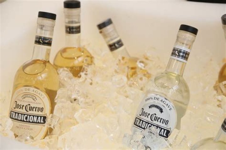 The Tequila Fortune And How The Cuervo Family Plans To Turn Tequila, Jalisco Into The Napa Valley of Mexico