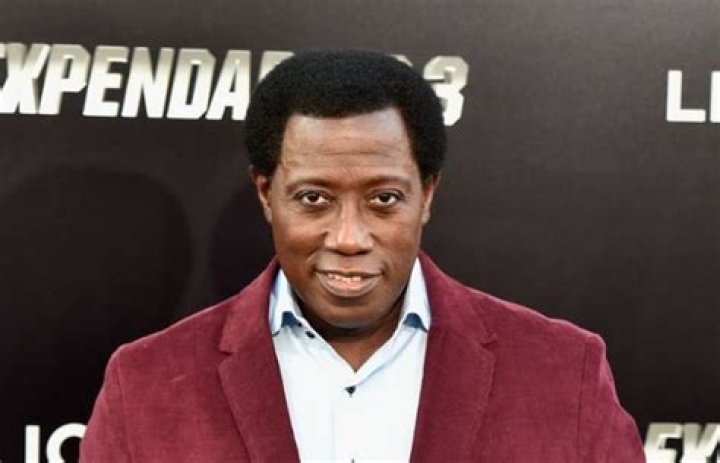 Wesley Snipes Net Worth | Celebrity Net Worth